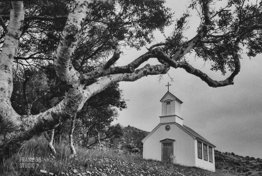 White church in Iceland framed by tree branch
