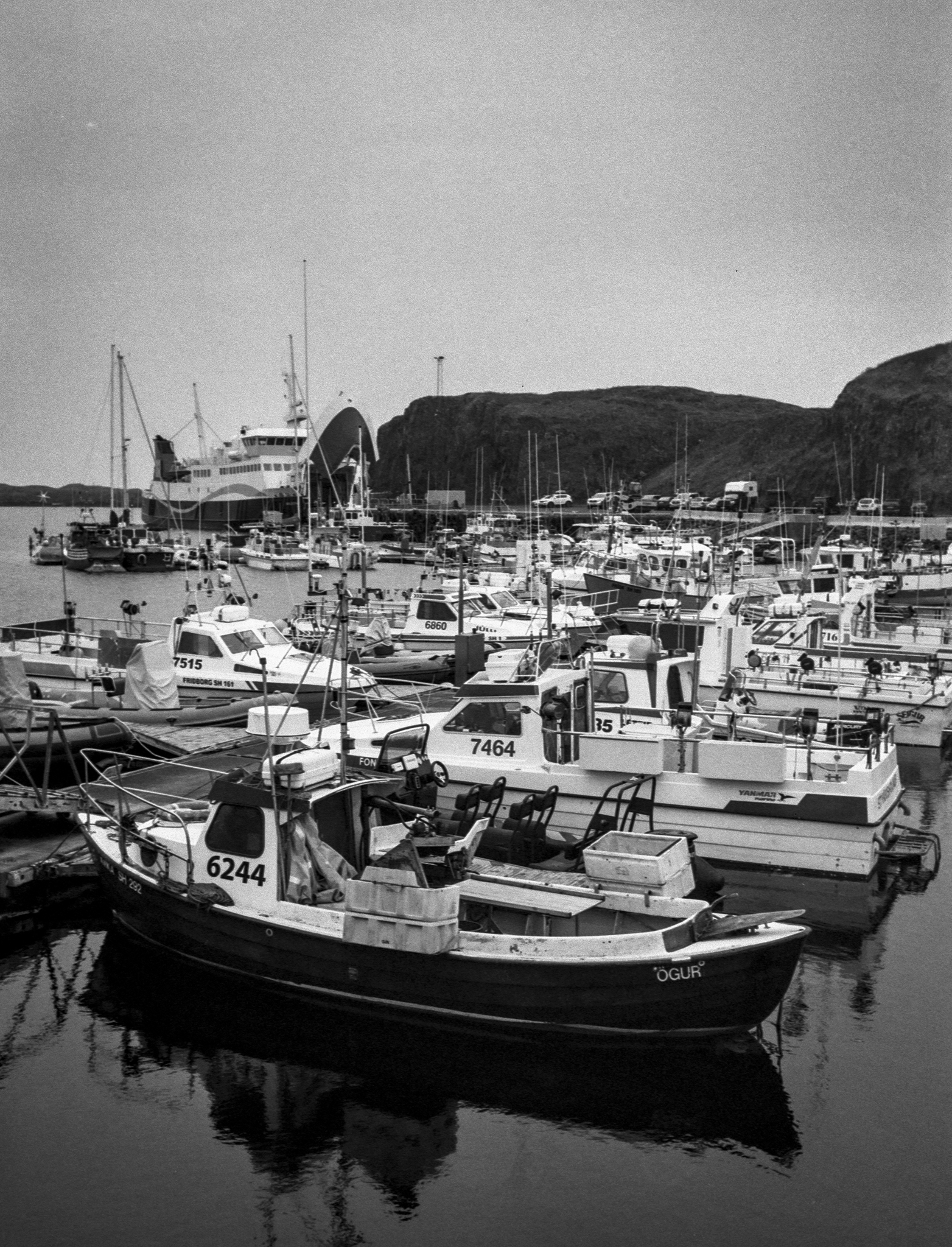 Harbor
